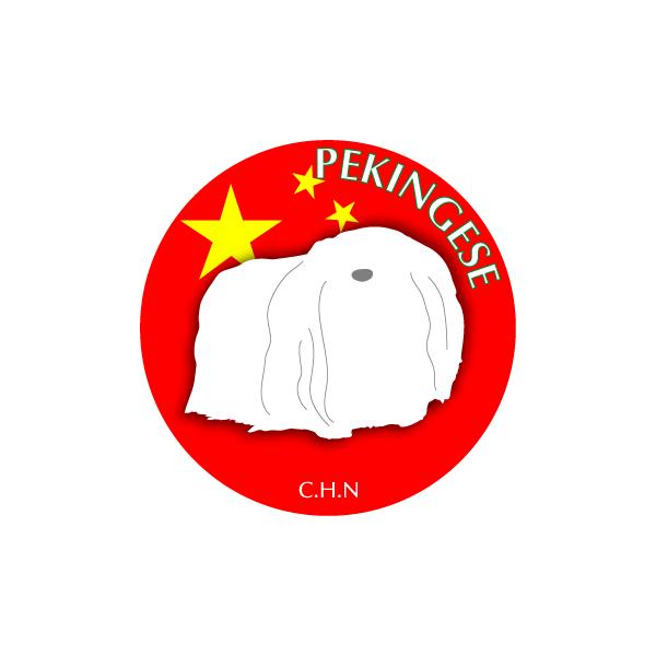 hbOV[XebJ[܂ yLj[Y STCY 31Zbg