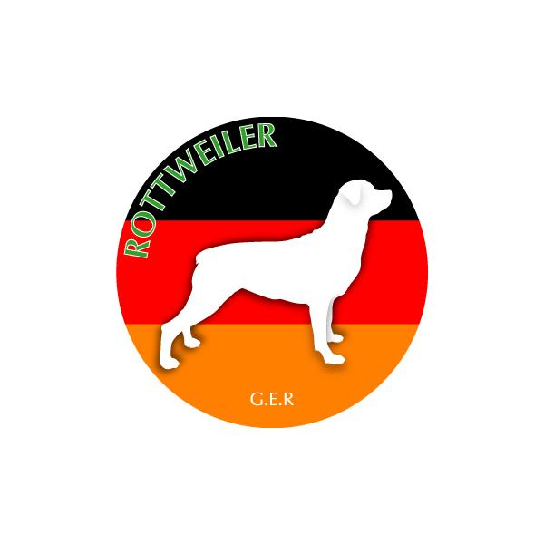 hbOV[XebJ[܂ bgC[ STCY 31Zbg