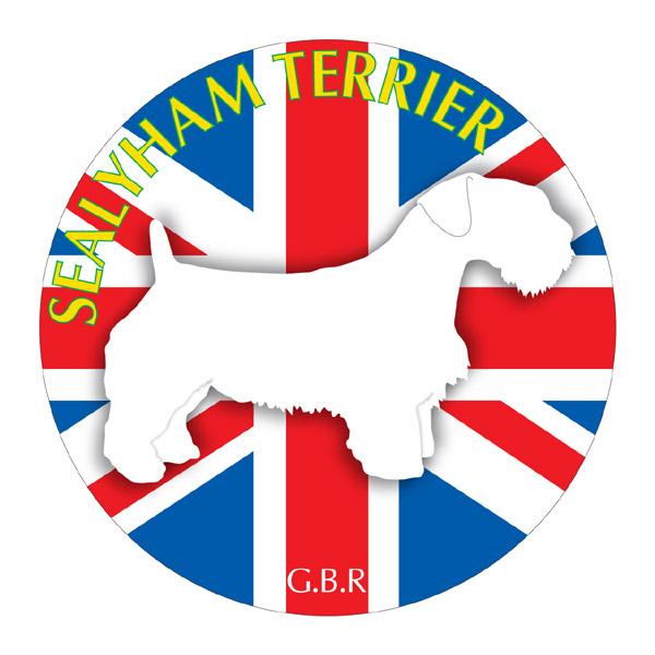 hbOV[XebJ[܂ V[neA LTCY