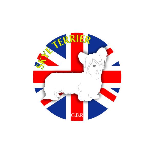 hbOV[XebJ[܂ XJCeA STCY 31Zbg