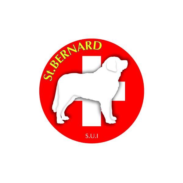 hbOV[XebJ[܂ Zgo[i[h STCY 31Zbg