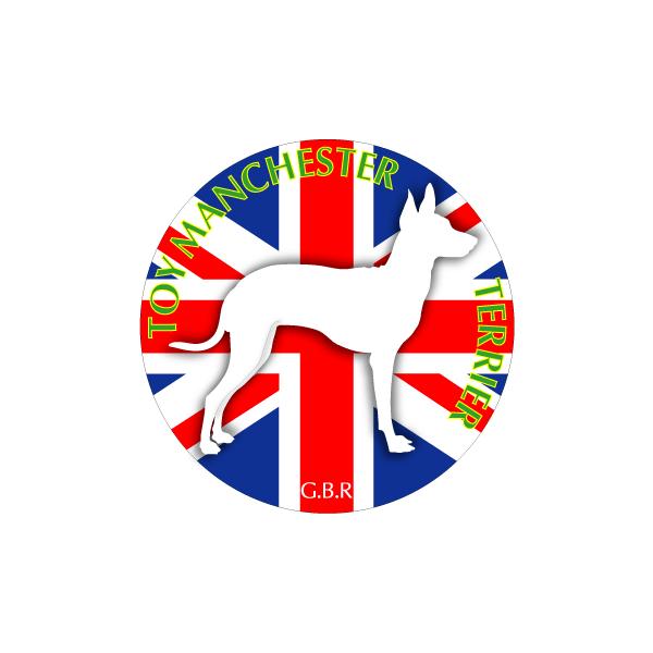 hbOV[XebJ[܂ gC}`FX^[eA STCY 31Zbg