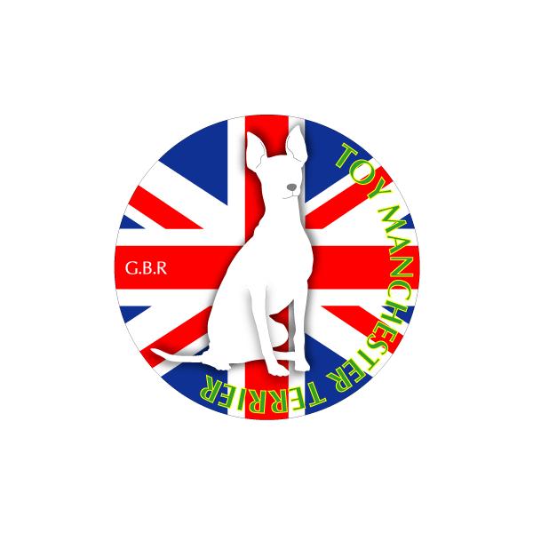 hbOV[XebJ[܂ gC}`FX^[eA STCY 31Zbg