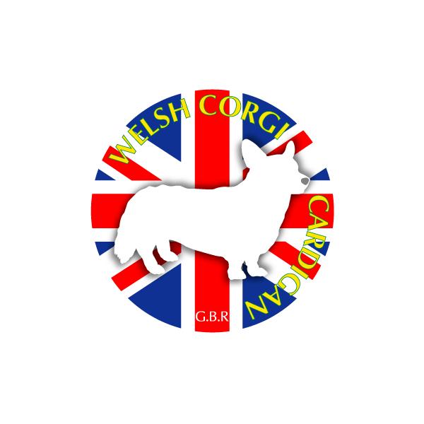 hbOV[XebJ[܂ EFVR[M[J[fBA STCY 31Zbg