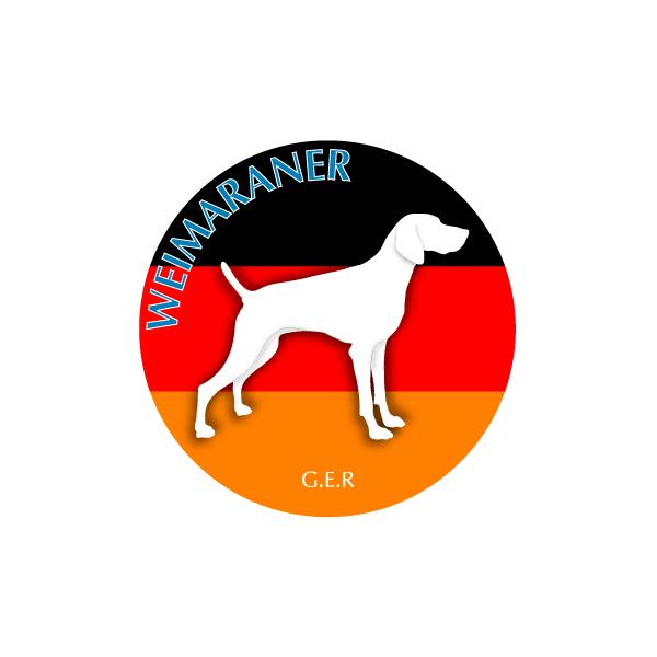 hbOV[XebJ[܂ C}i[ MTCY 21Zbg