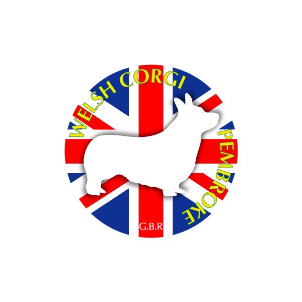 hbOXebJ[܂@EFVR[M[yu[N@LTCY