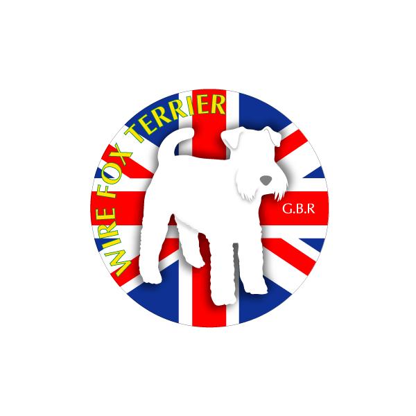 hbOV[XebJ[܂ C[tHbNXeA STCY 31Zbg