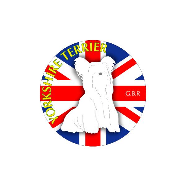 hbOV[XebJ[܂ [NV[eA STCY 31Zbg