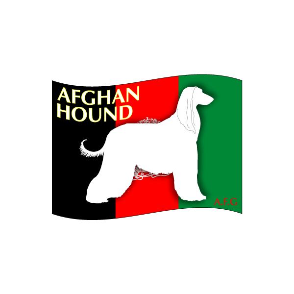 hbOXebJ[͂@AtKEnEh@STCY 31Zbg