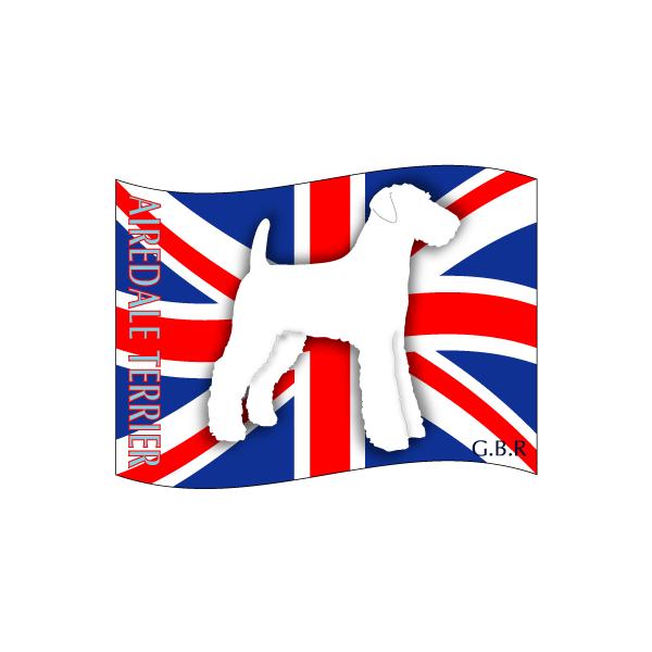 hbOV[XebJ[͂ GAf[eA NEW@MTCY 21Zbg