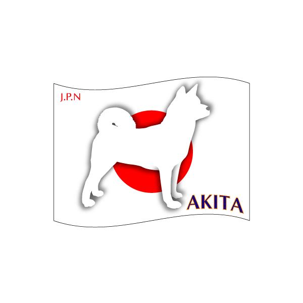 hbOV[XebJ[͂ Hc MTCY 21Zbg