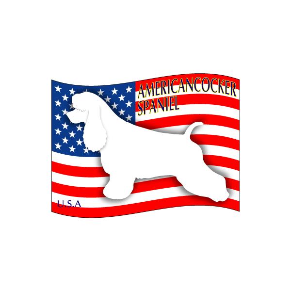 hbOXebJ[͂ AJRbJ[XpjG STCY 31Zbg