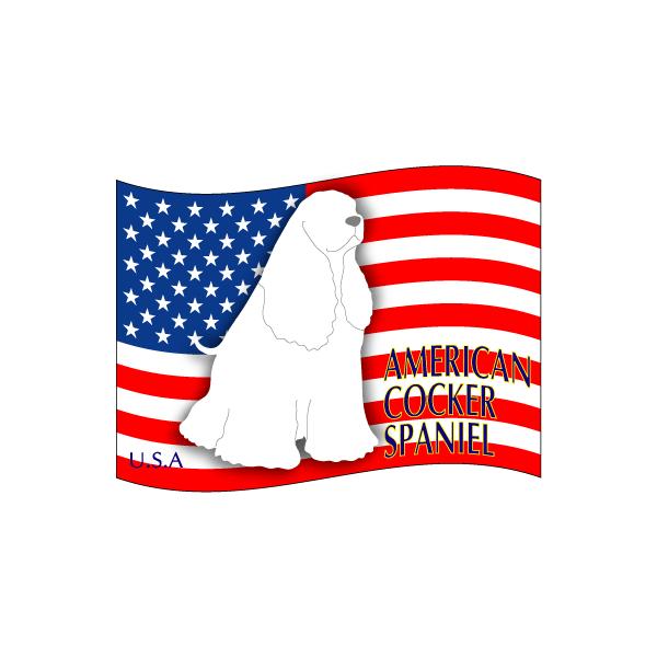 hbOXebJ[͂ AJRbJ[XpjG LTCY