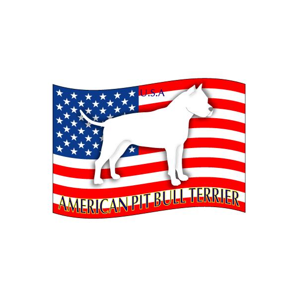 hbOXebJ[͂ AJsbgueA LTCY