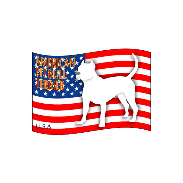 hbOXebJ[͂ AJsbgueA ΂STCY 31Zbg