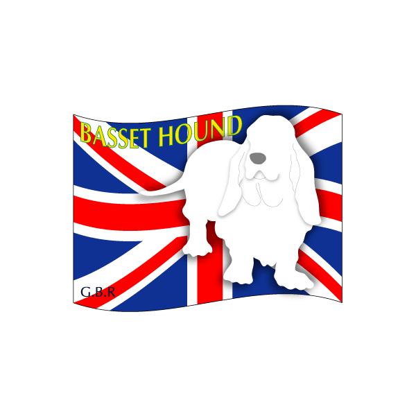 hbOV[XebJ[͂ oZbgnEh MTCY 21Zbg