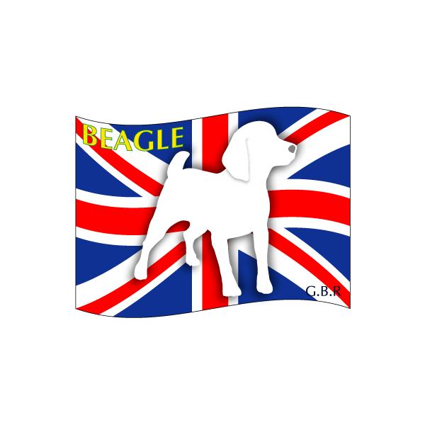 hbOV[XebJ[͂ r[O LTCY