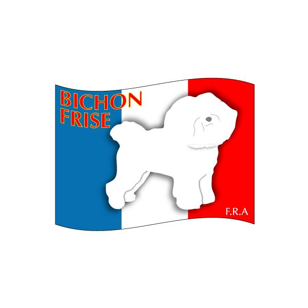 hbOV[XebJ[͂ rVt[[ MTCY 21Zbg