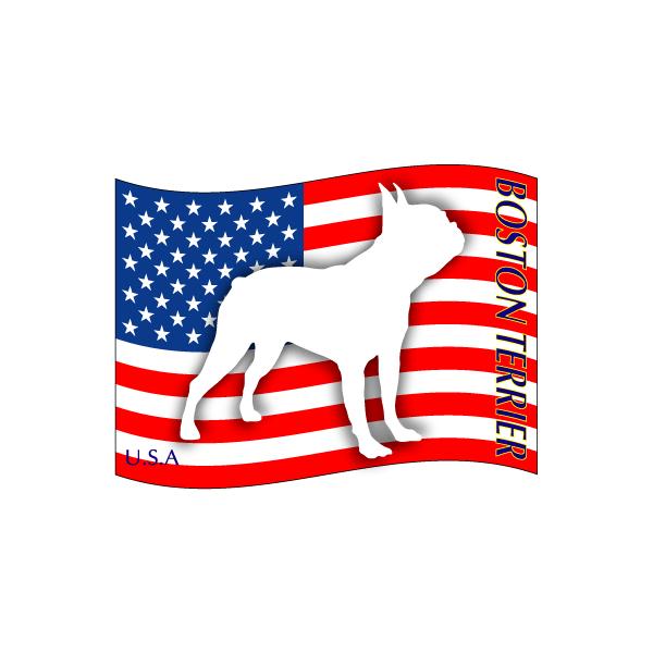 hbOV[XebJ[͂ {XgeA MTCY 21Zbg