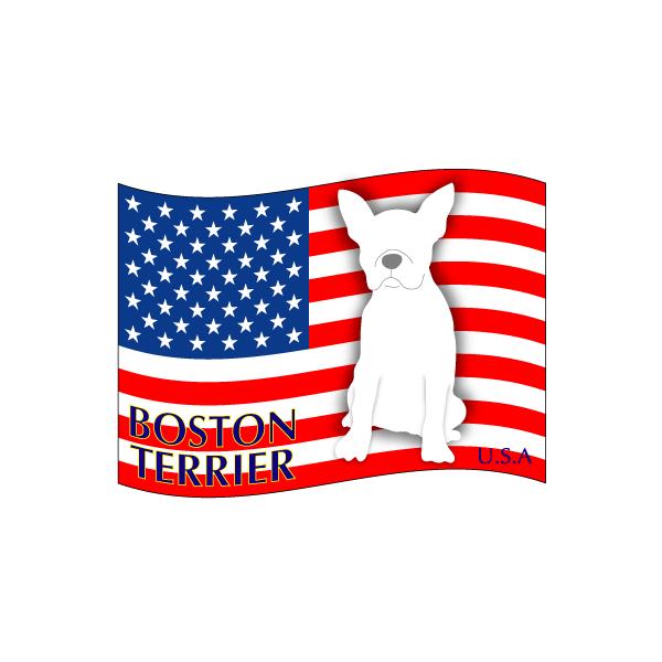 hbOV[XebJ[͂ {XgeA MTCY 21Zbg