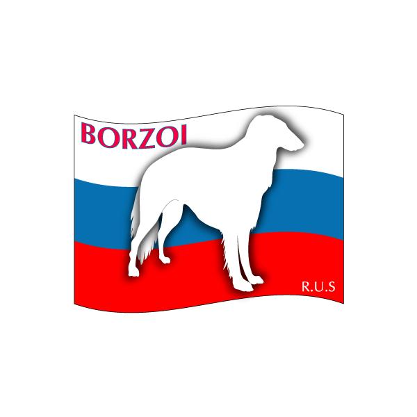 hbOV[XebJ[͂ {]C STCY 31Zbg