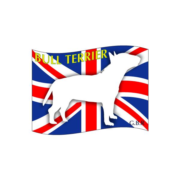 hbOV[XebJ[͂ ueA STCY 31Zbg