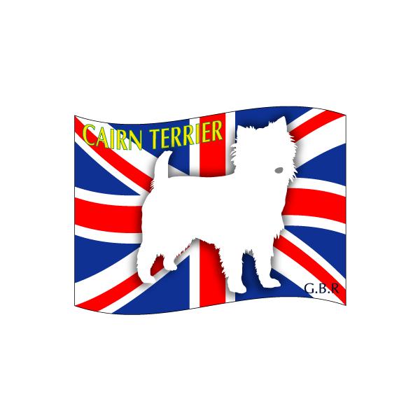 hbOV[XebJ[͂ PA[eA STCY 31Zbg