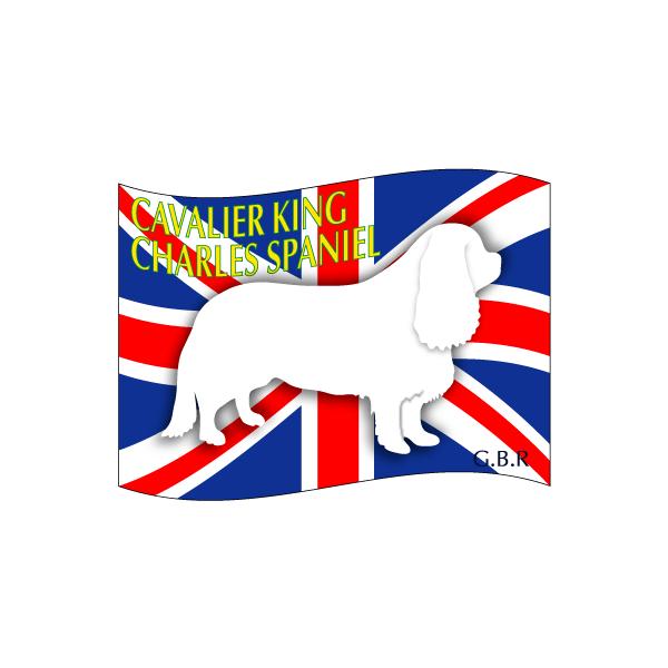 hbOV[XebJ[͂ LoALO`[YXpjG LTCY