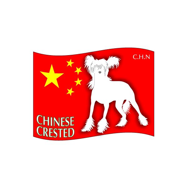 hbOV[XebJ[͂ `Cj[YNXebhhbO STCY 31Zbg