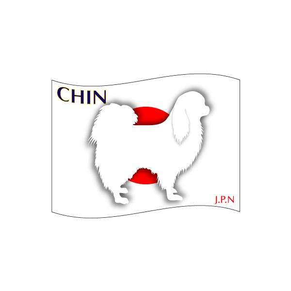 hbOV[XebJ[͂  STCY 31Zbg