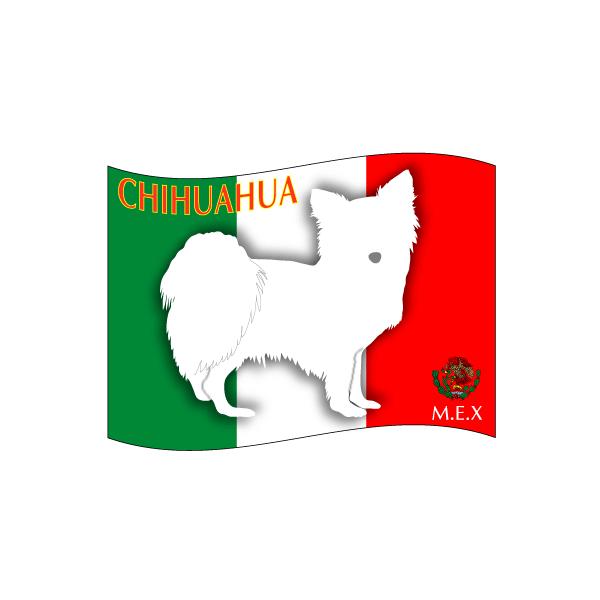 hbOV[XebJ[͂ ` O STCY 31Zbg