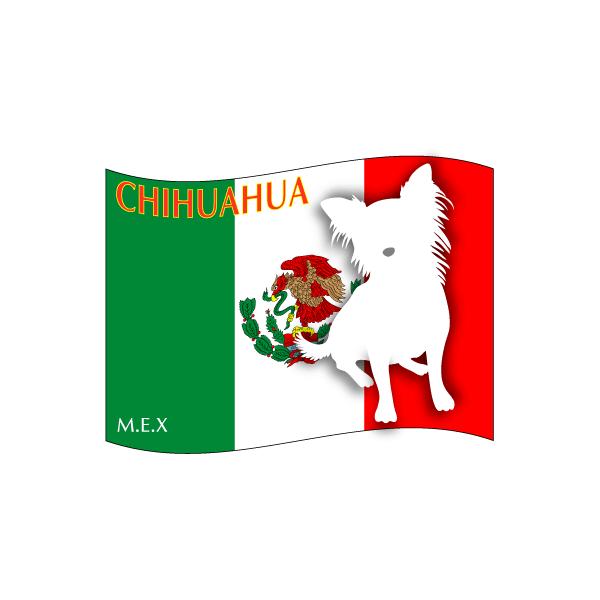 hbOV[XebJ[͂ ` O LTCY