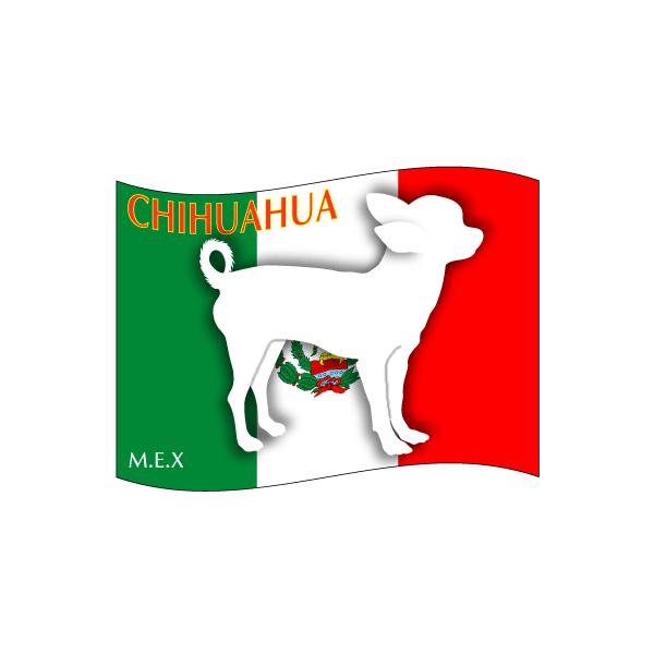 hbOV[XebJ[͂ `@X[X STCY 31Zbg