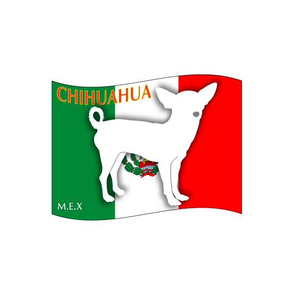 hbOV[XebJ[͂ `@X[X ΌMTCY 21Zbg