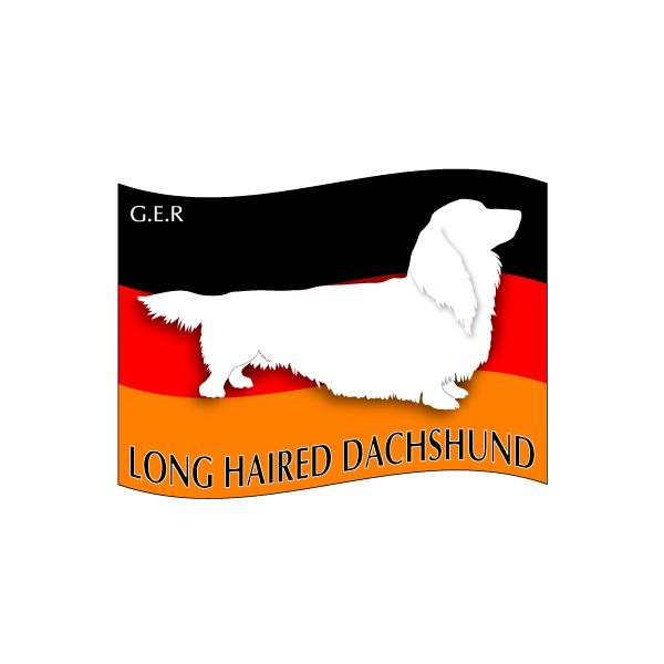 hbOV[XebJ[͂ _bNXth@O MTCY 21Zbg