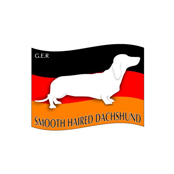 hbOXebJ[͂ _bNXth@X[X STCY 31Zbg