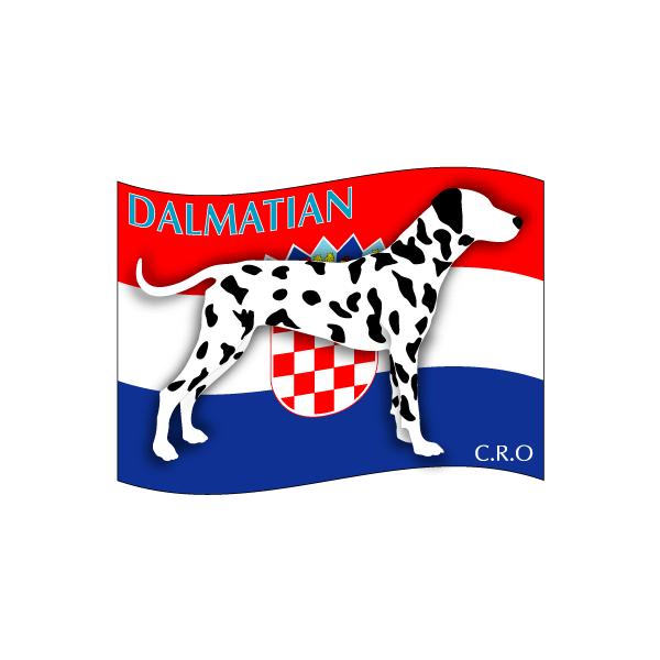 hbOV[XebJ[͂ _VA STCY 31Zbg