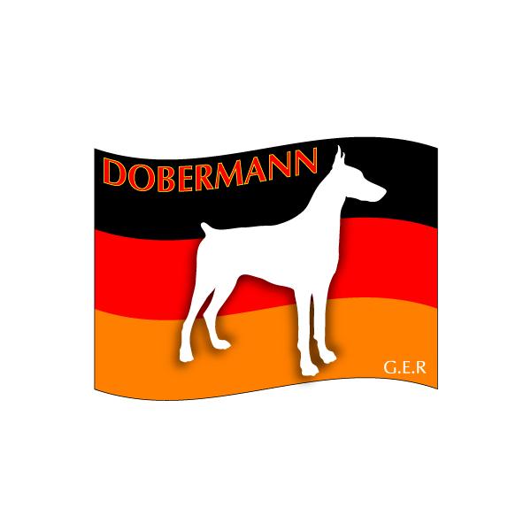 hbOV[XebJ[͂ h[x} LTCY