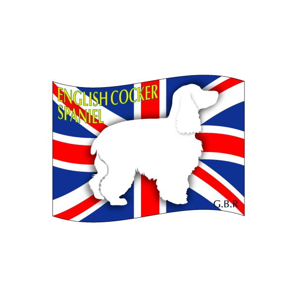 hbOV[XebJ[͂ CObVRbJ[XpjG MTCY 21Zbg