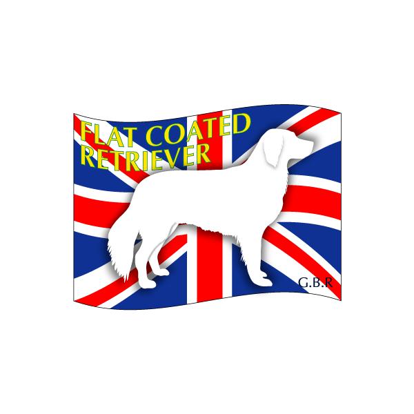 hbOV[XebJ[͂ tbgR[ebhg[o[ STCY 31Zbg