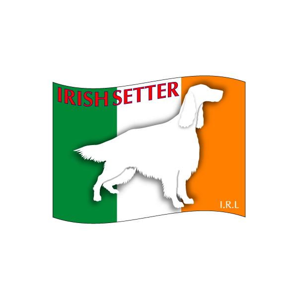 hbOXebJ[͂ ACbVZ^[ LTCY