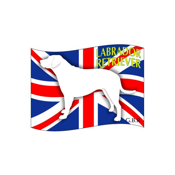 hbOV[XebJ[͂ uh[g[o[ STCY 31Zbg