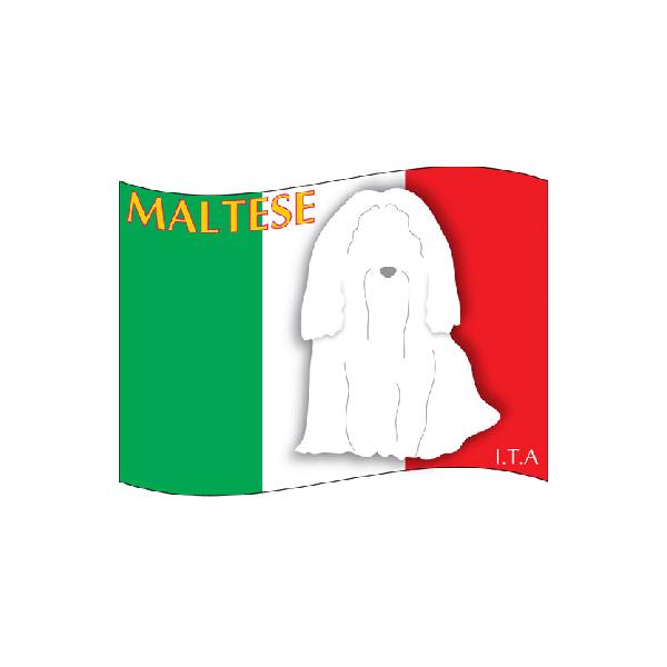 hbOV[XebJ[͂ }`[Y TCY