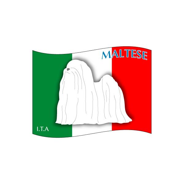 hbOV[XebJ[͂ }`[Y NEW@STCY 31Zbg