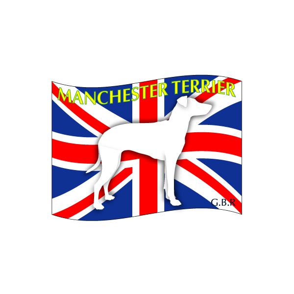 hbOV[XebJ[͂ }`FX^[eA LTCY