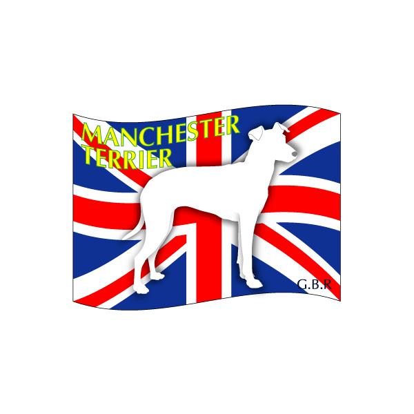 hbOV[XebJ[͂ }`FX^[eA ΌMTCY 21Zbg