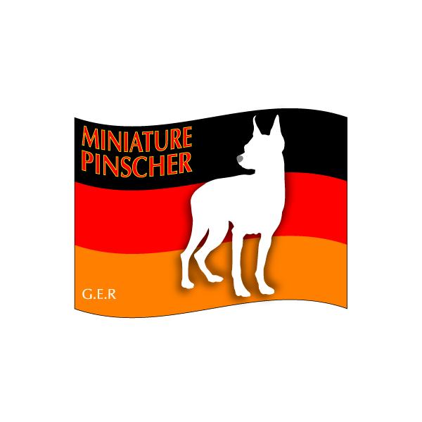 hbOV[XebJ[͂ ~j`AsV[ STCY 31Zbg