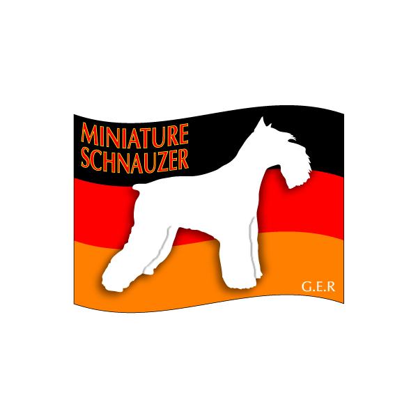 hbOXebJ[͂@~j`AViEU[@LTCY