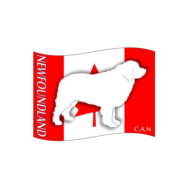 hbOV[XebJ[͂ j[t@hh MTCY 21Zbg