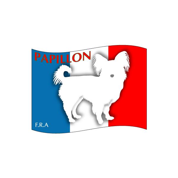 hbOV[XebJ[͂ ps STCY 31Zbg